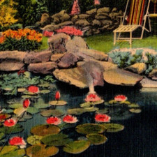 Vintage Card Linen Beautiful Rock Garden Pool In Birmingham Alabama AL Flowers