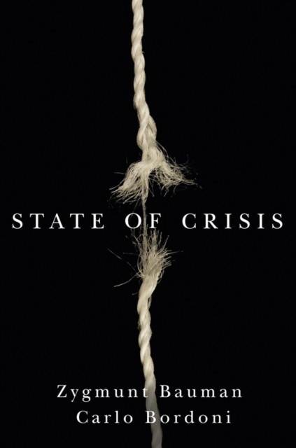 State of Crisis by Zygmunt Bauman, Carlo Bordoni - 9780745680958 - Image 5