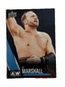 Excellent: 2021 UPPER DECK AEW QT Marshall Rookie Trading Card