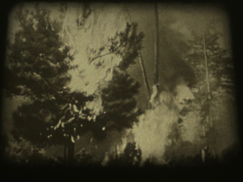 PERILS OF THE WILD / ZIPPY THE CHIMP - 2 x 200FT B/W - STANDARD 8MM FILM -CASTLE - Bild 10 von 24