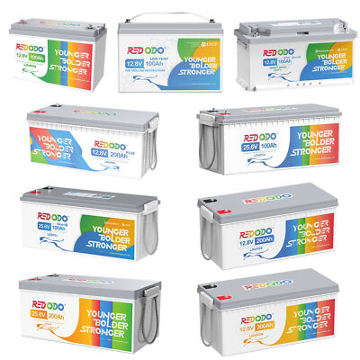 12V 50Ah 100Ah 200Ah 24V 100Ah LiFePO4 Lithium Batterie für Solar Wohnmobil Boot
