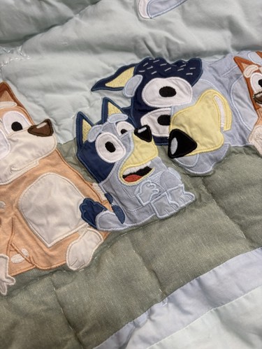 Pottery Barn Kids Bluey Toddler Quilt ~ 36” x 50” - 第 9/12 張圖片