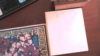 BAHAMAS COLLECTION IN ALBUM MINT/USED