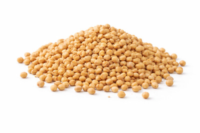 Senfsaat Senfkörner ganz gelb/weiß Senfsamen Gewürzware Senf 1kg-25kg