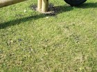 Picture 2 of 7