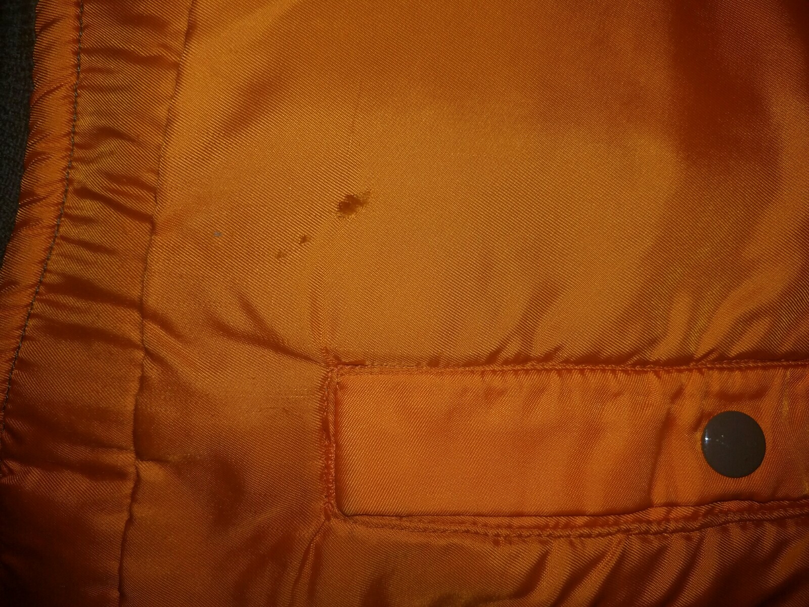 Picture 12 of 12