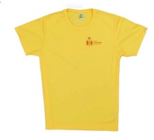 Brand New RLSS UK | Lifeguard Technical T-Shirt, Yellow XL
