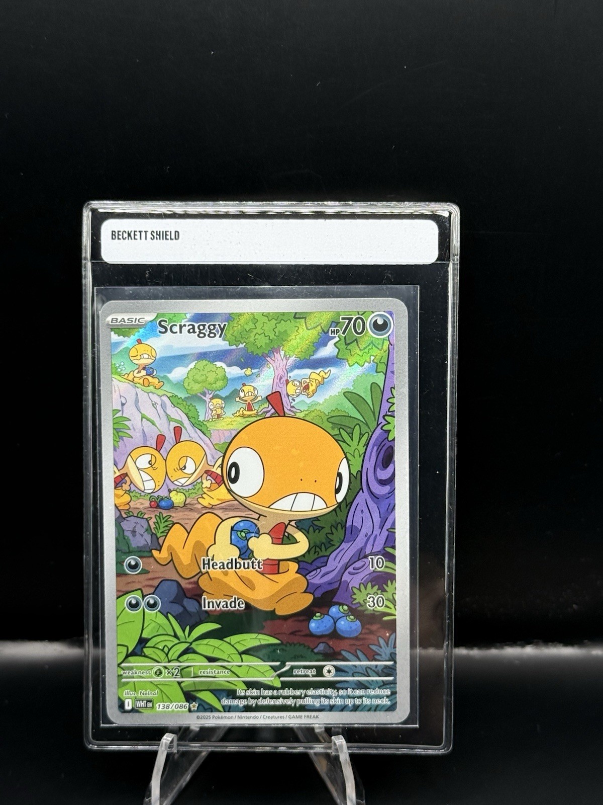 Scraggy 138/086 Illustration Rare – SV White Flare – Pokémon TCG – NM/M