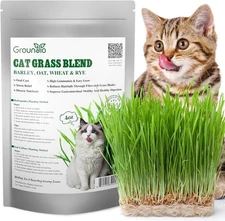 Cat Grass Seeds, Barley, Oats, Wheat, Rye 4 Varieties, Non-GMO 4 OZ, green 