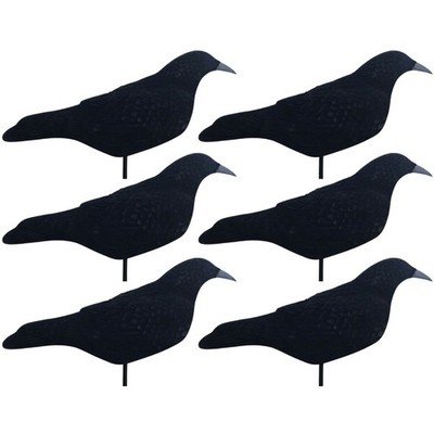 Beflockte Krähe Köder Muschel großer Corvid Köder für Krähen & Türme sehr effektiv x6