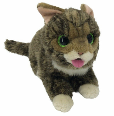Lil Bub Tabby Cat Plush Striped Kitten Kitty Big Eye Cuddle Barn Stuffed Animal