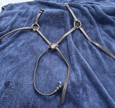 Dover Saddlery Figure Eight Nose and Horse Size Brown 