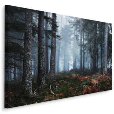 CANVAS Leinwand Bilder XXL Wandbilder Kunstdruck Wald Nebel Bäume Natur 339