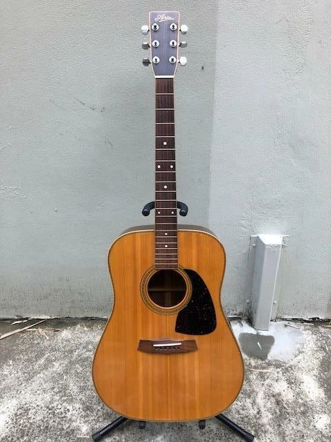 Aria dreadnought acoustic sale guitar