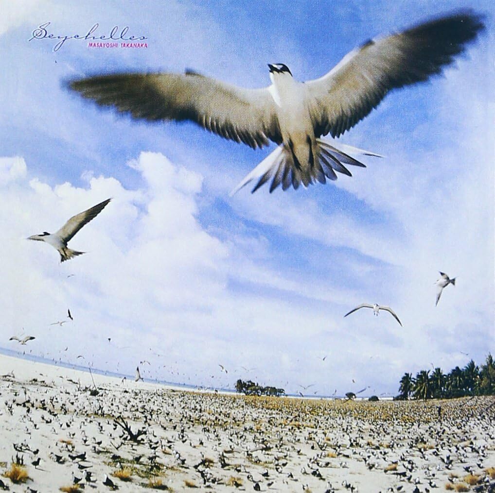 chihiro sonoda 原画　ペガサス Reel by AZUSA TANAKA (@azaza0727) · January 29, 2025