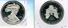 2019 W AMERICAN SILVER EAGLE 1 OUNCE .999 FINE PROOF COIN NO BOX 7123T