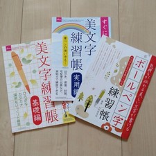 Ballpoint Pen Practice Book Set, Calligraphy  Lettering Guides, 3 Books