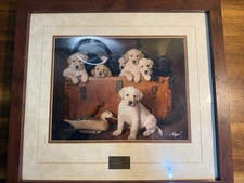 Trunk Load Of Trouble Ducks Unlimited 2005 Framed 