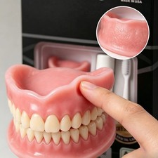 Upper Lower Full Mouth Silicone Dentures, Lifelike Fake Teeth, Ideal for Daily