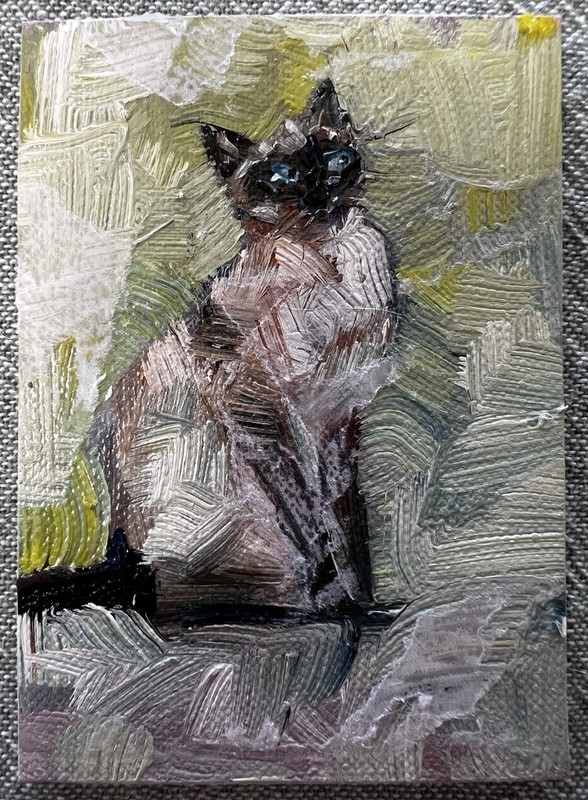 ACEO ORIGINAL Cat “Siamese Contemplating” Artist Siby, Oil, 2026 India