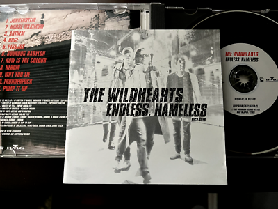 2-FER: ENDLESS, NAMELESS + ANARCHIC AIRWAVES by The Wildhearts (2