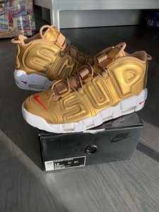 gold suptempo