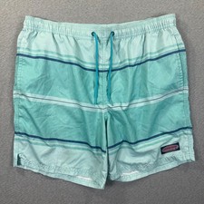 Vineyard Vines Swim Trunks Shorts Mens M Seafoam Green Striped Mesh Lined