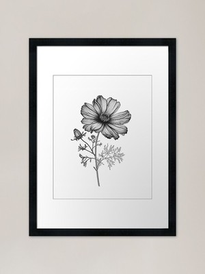 Cosmo flower - black and white draw Framed Wall Art Poster Canvas Print Picture