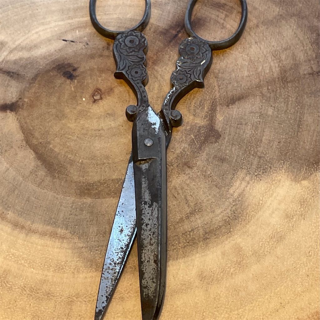 Antique 1800's WM Morley & Sons Engraved Dressmaker's Scissors
