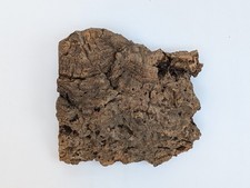 Cork Tree Bark Flat For Reptiles Isopods Terrariums  Plants - 16oz 9X8X3