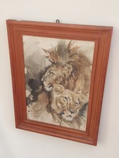 Quadro acquarello Aldo Raimondi (1902-1998) - Leone e leonessa