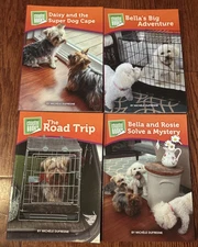 Lot of 4 Pioneer Valley Books Chapter Books Readers Dog Michelle Dufresne