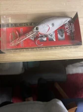 New LUCKY CRAFT Flat CB D-20 OR Tennessee Shad Hard To Find Rare Pro Tune