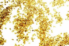 1/4 TROY OZ ALASKAN YUKON BC NATURAL PURE GOLD NUGGETS #20 MESH 7.75 GRAMS 2630.83 per troy oz
