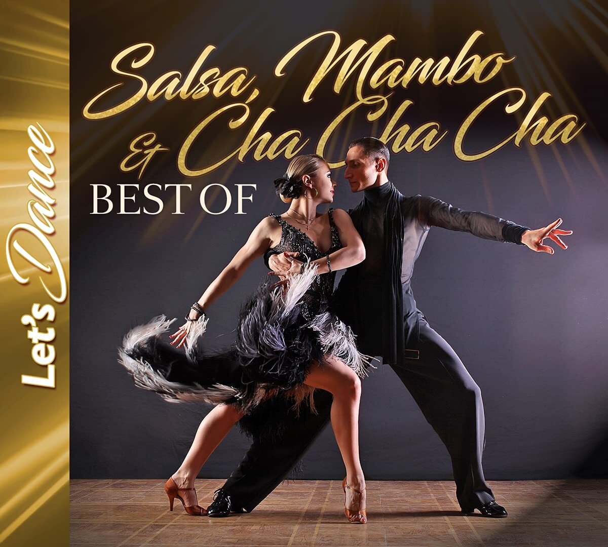 Various Salsa,Mambo & Cha Cha Cha Best of (CD)