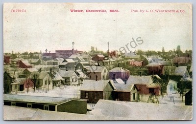 K52/ Carsonville Michigan Postcard c1910 Winter Homes Stores 12