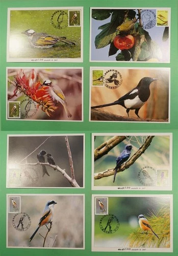 DR WHO TAIWAN CHINA 12 FDC BIRD MAXIMUM CARD R41636