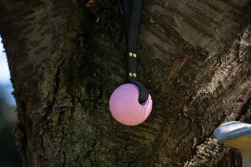 Raw Canine Heavy Duty Foam Ball on Handle, Non Slip Super Grip Brass Riveted Tug