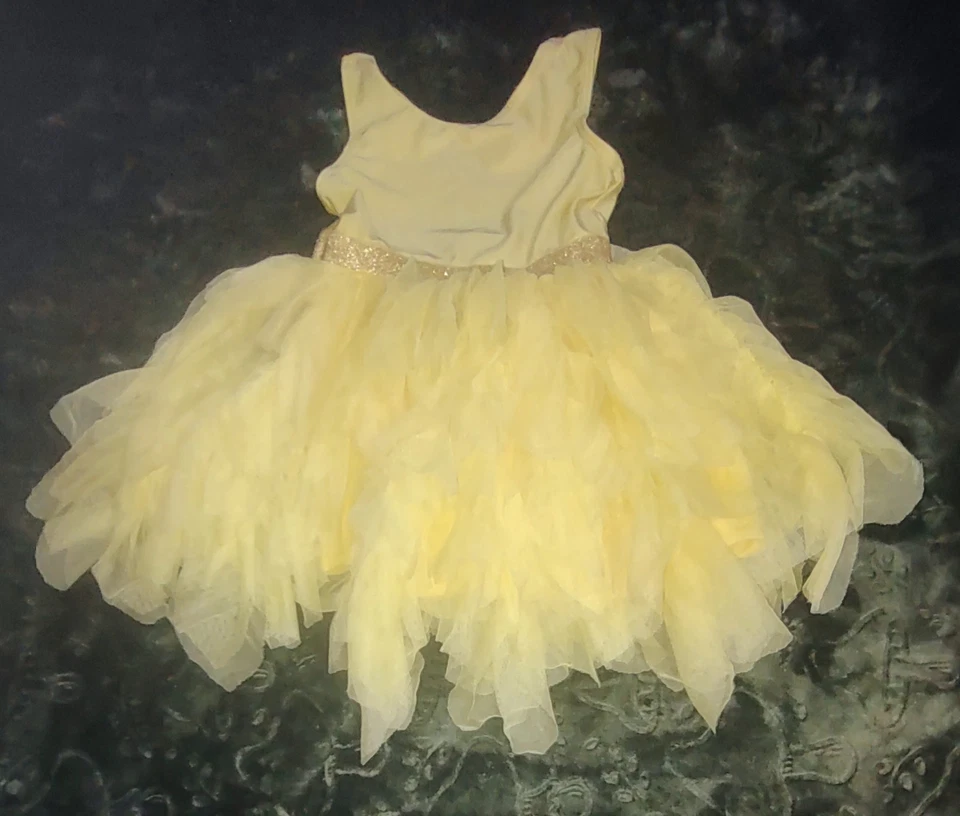 Disney Belle Beauty And The Beast  Tutu Dress  - Image 2 of 2