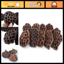 10PCS Dried Brown Lotus Pods - Natural Decor, No Seeds or Stems, 8-10CM