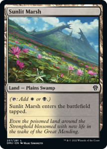 Sunlit Marsh 257/281 Foil Common Dominaria United MTG