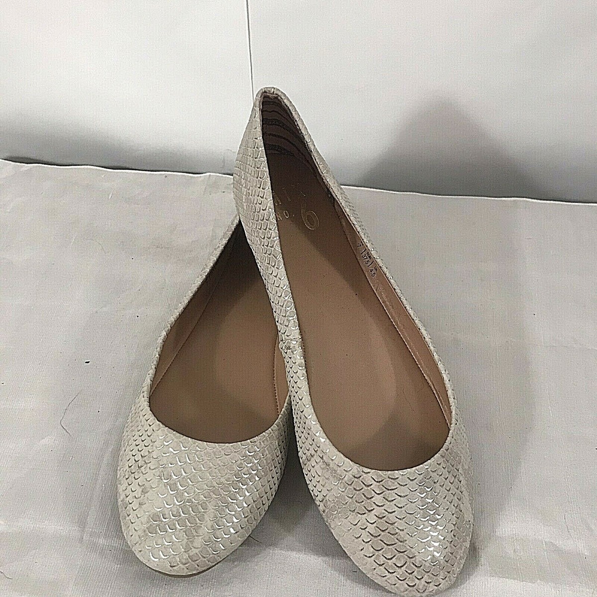 Mix NO Danzy Woman’s Ballet Flat Silver And Cream Shimmer Size New With  Box