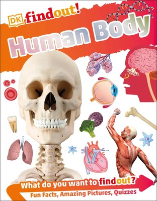 DKfindout! Human Body | Dk | Taschenbuch | 64 S. | Englisch | 2017