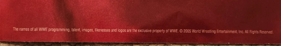 2005 年 WWE STACY KEIBLER 双张海报!! — 第 3/3 张图片