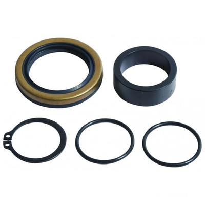 Ausgangswellen Reparatur Satz 25-4047 für Beta RR 300 2T Enduro Oilmix 2018-2020
