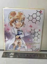 Detective Conan Ai Haibara Shikishi art card toy Collection japan Limited BANDAI