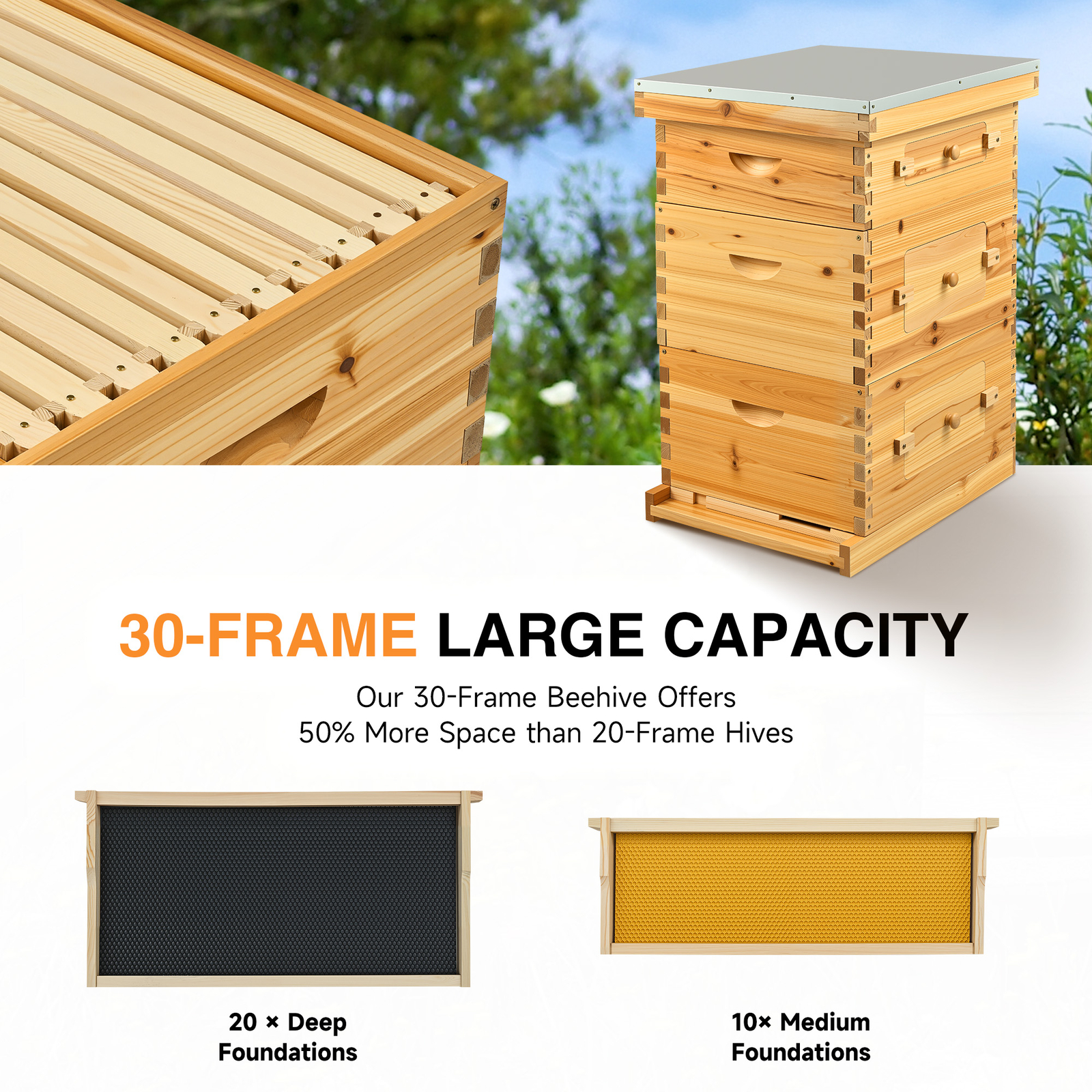Bee hive Frame BeeHive Kit W/ Beeswax Beekeeping 30 Frames  20 Deep+10 Medium