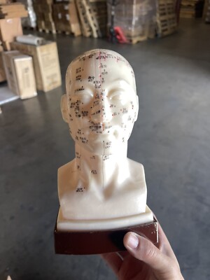 Acupuncture Head Model with Stand
