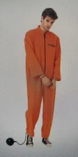 Conniving Convict Adult Costume, M