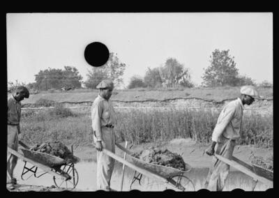 Levee workers Plaquemines Parish Louisiana 1930s Historic Old Photo 6